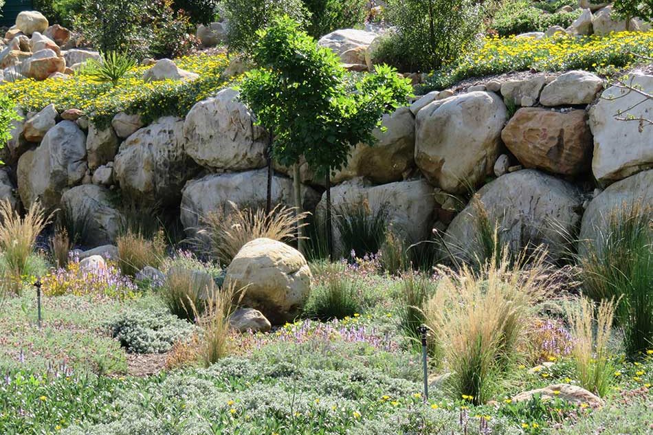 Indigenous-meadow-garden-02-ll-Boulder-retaining-ll-Enironmental-rehabilitation-ll-Earthmoving-ll
