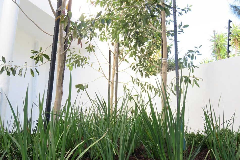 Llanduno-lanscaping-02-ll-Modern-ll-Raised-planter-ll-Indigenous-ll-Planter-troughs-ll-Planting-Plan-ll
